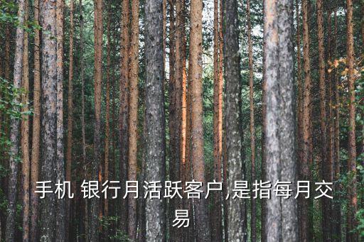手機銀行用戶規(guī)模,登錄手機銀行顯示用戶不存在