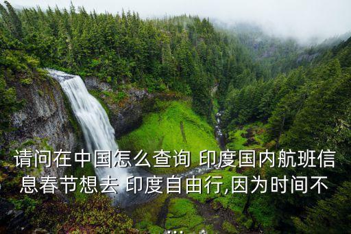 請(qǐng)問在中國(guó)怎么查詢 印度國(guó)內(nèi)航班信息春節(jié)想去 印度自由行,因?yàn)闀r(shí)間不...
