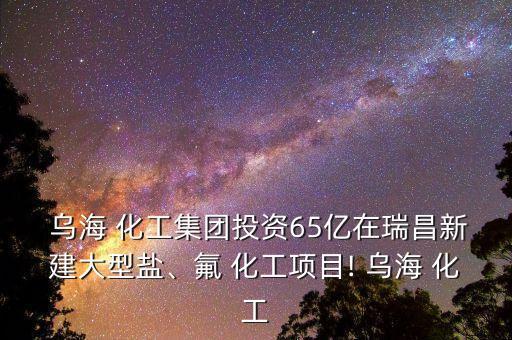 內(nèi)蒙古烏?；す煞萦邢薰?2023烏海化工股份有限公司