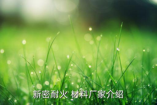 新密耐火 材料廠(chǎng)家介紹