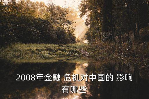2008年金融 危機(jī)對中國的 影響有哪些