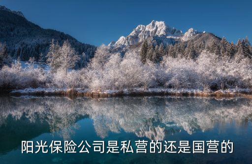 陽光保險(xiǎn)集團(tuán)股東背景