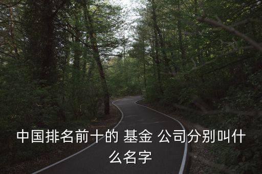 上海大的基金公司,上?；鸸九琶笆?/></a></span><span id=
