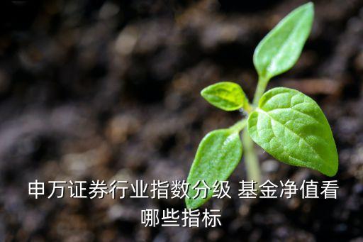  申萬證券行業(yè)指數(shù)分級(jí) 基金凈值看哪些指標(biāo)