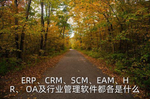 ERP、CRM、SCM、EAM、HR、 OA及行業(yè)管理軟件都各是什么