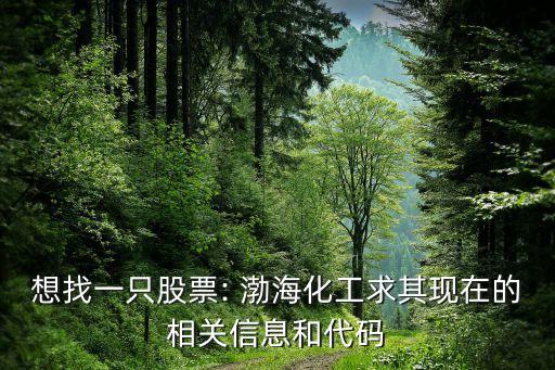 想找一只股票: 渤海化工求其現在的相關信息和代碼