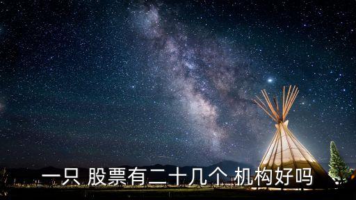 一只 股票有二十幾個 機(jī)構(gòu)好嗎