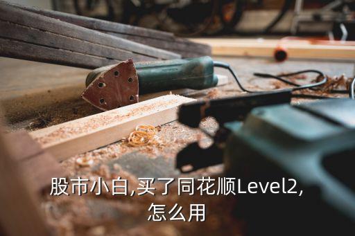 股市小白,買(mǎi)了同花順Level2,怎么用