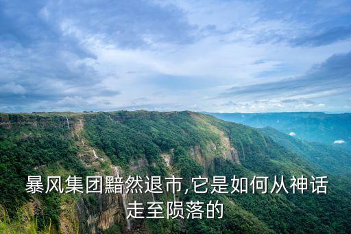  暴風(fēng)集團(tuán)黯然退市,它是如何從神話走至隕落的