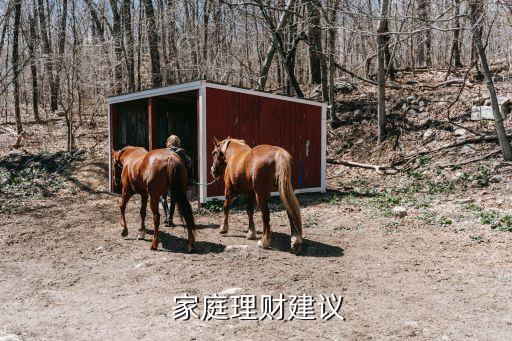  家庭理財建議