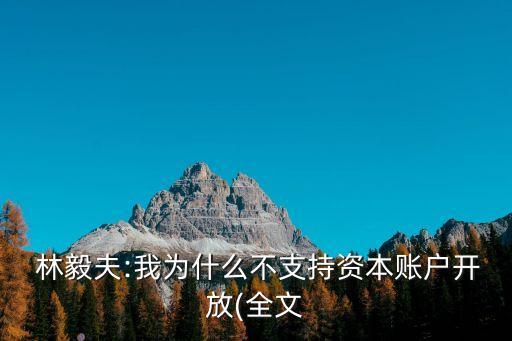  林毅夫:我為什么不支持資本賬戶開放(全文