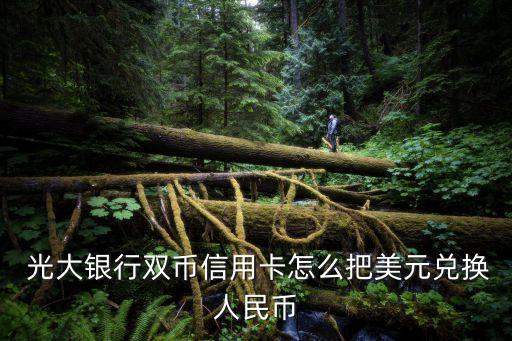 我在光大銀行結(jié)匯價格,光大銀行結(jié)匯一定要去柜臺嗎