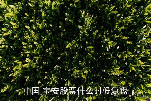 中國 寶安股票什么時候復盤