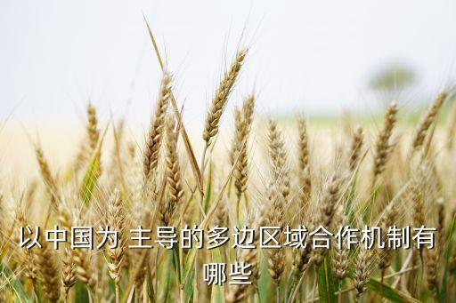 以中國為 主導的多邊區(qū)域合作機制有哪些