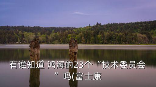 鴻海集團(tuán)股東,鴻?？萍技瘓F(tuán)股東