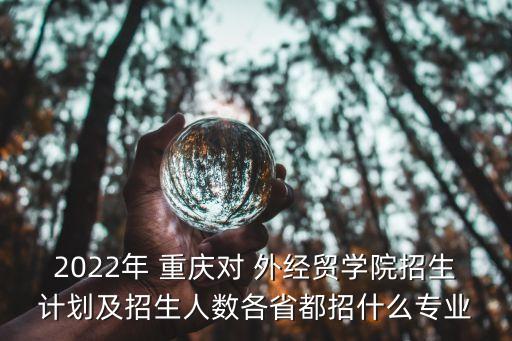 2022年 重慶對(duì) 外經(jīng)貿(mào)學(xué)院招生計(jì)劃及招生人數(shù)各省都招什么專(zhuān)業(yè)