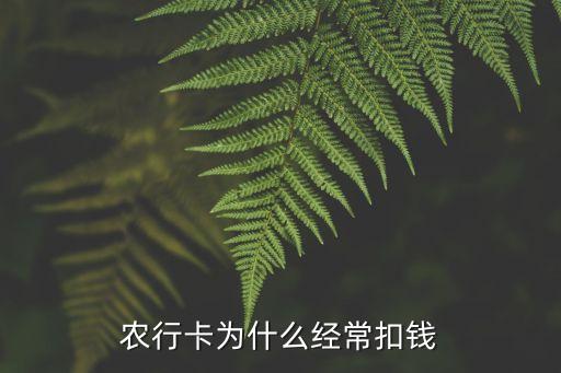 農(nóng)行卡為什么經(jīng)?？坼X