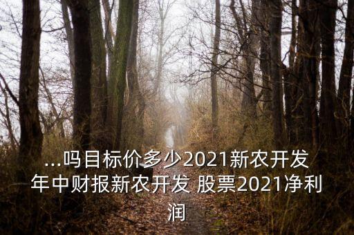 新疆生產(chǎn)建設(shè)兵團擬建16個市受益股票