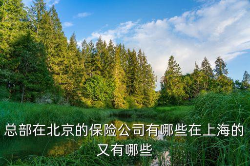 總部在北京的保險(xiǎn)公司有哪些在上海的又有哪些