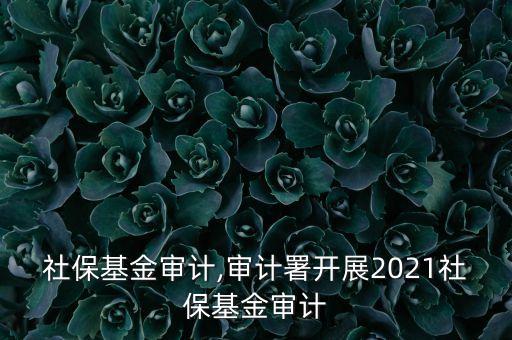 美國(guó)社保基金審計(jì),審計(jì)署開(kāi)展2021社?；饘徲?jì)