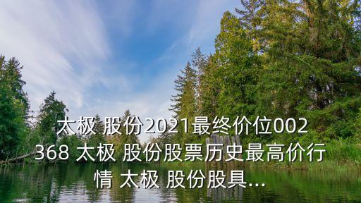 太極計算機(jī)股份有限公司年報,北京太極計算機(jī)股份有限公司是國企嗎