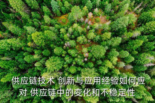  供應(yīng)鏈技術(shù) 創(chuàng)新與應(yīng)用經(jīng)驗如何應(yīng)對 供應(yīng)鏈中的變化和不穩(wěn)定性