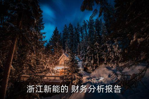 浙江新能的 財務分析報告