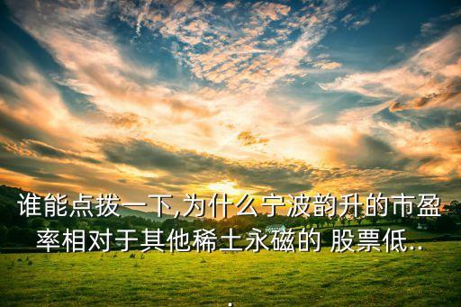 誰(shuí)能點(diǎn)撥一下,為什么寧波韻升的市盈率相對(duì)于其他稀土永磁的 股票低...