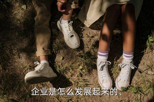 企業(yè)是怎么發(fā)展起來的、