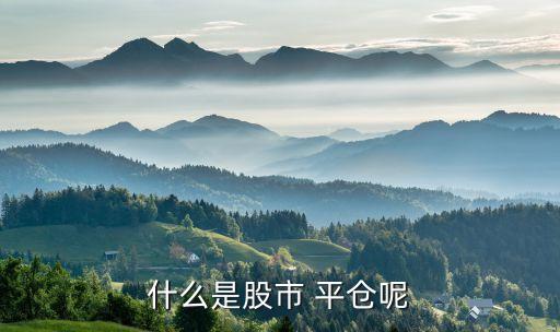 什么是股市 平倉(cāng)呢