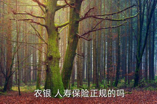 農(nóng)銀 人壽保險正規(guī)的嗎