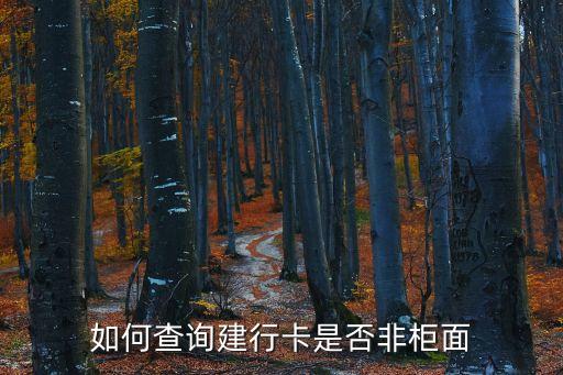 建設銀行非現(xiàn)金柜臺