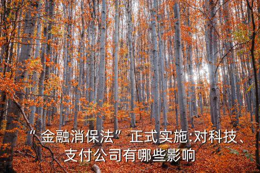 “ 金融消保法”正式實施:對科技、支付公司有哪些影響