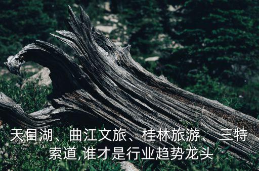 天目湖、曲江文旅、桂林旅游、 三特 索道,誰才是行業(yè)趨勢龍頭