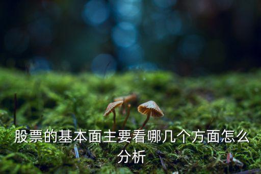 從哪些方面分析股票,股票基本面分析包括哪些內(nèi)容