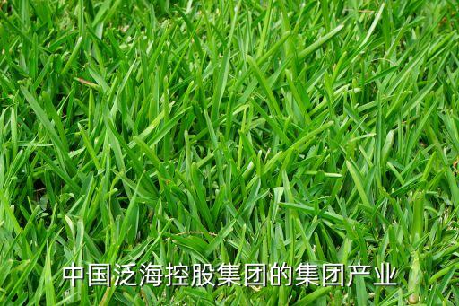 中國泛?？毓杉瘓F(tuán)的集團(tuán)產(chǎn)業(yè)