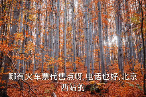 哪有火車(chē)票代售點(diǎn)呀,電話也好,北京西站的