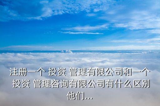 注冊(cè)一個(gè) 投資 管理有限公司和一個(gè) 投資 管理咨詢(xún)有限公司有什么區(qū)別他們...