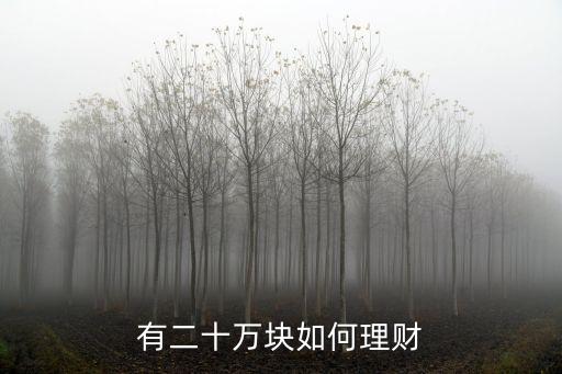家庭可投資資產(chǎn)20萬(wàn),家庭資產(chǎn)的多少投資股市合理