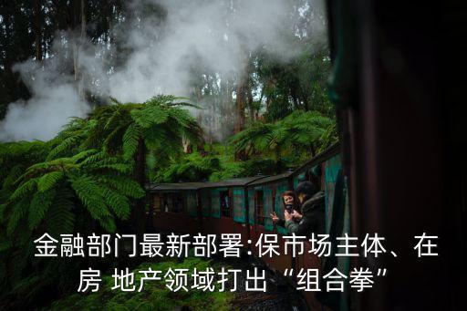  金融部門(mén)最新部署:保市場(chǎng)主體、在房 地產(chǎn)領(lǐng)域打出“組合拳”