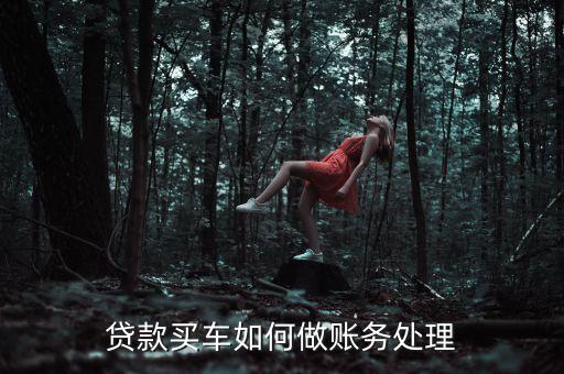 汽車(chē)金融公司的會(huì)計(jì)處理