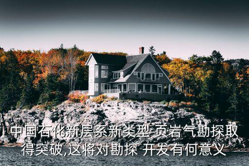 中國(guó)頁巖氣開發(fā)技術(shù),頁巖氣開發(fā)技術(shù)處于世界領(lǐng)先地位