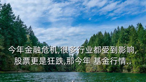 001071基金走勢(shì),基金001071今天最新凈值查詢(xún)