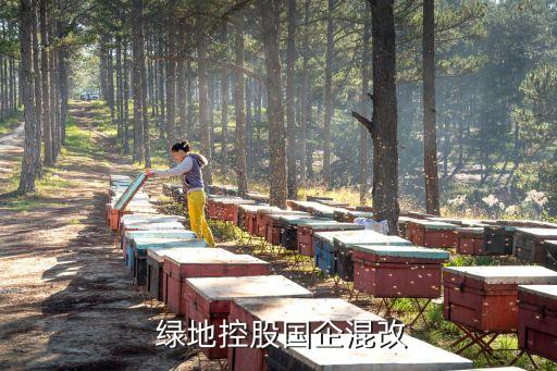  綠地控股國(guó)企混改