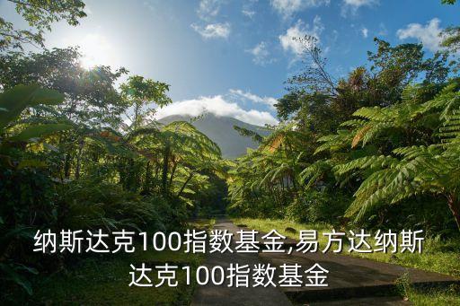華安納斯達克100指數基金,易方達納斯達克100指數基金