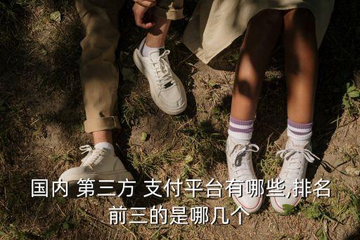 國內(nèi) 第三方 支付平臺有哪些,排名前三的是哪幾個