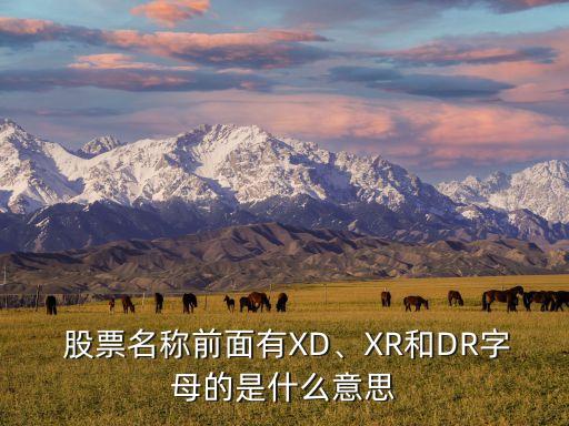  股票名稱前面有XD、XR和DR字母的是什么意思
