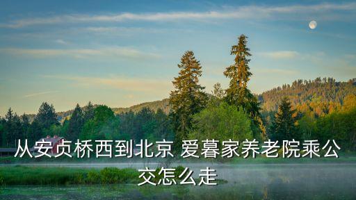 愛暮家風險投資,風險投資家青睞哪種項目