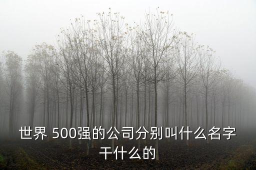 500強集團(tuán),開局獎勵世界500強集團(tuán)