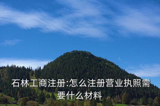 石林集團財務,石林育才教育集團